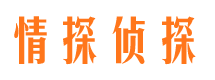 宿松市婚姻调查